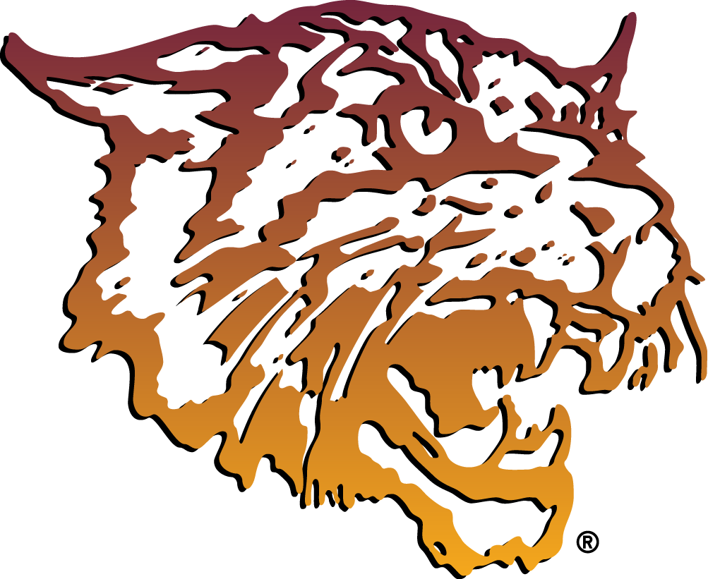 Bethune-Cookman Wildcats 2000-2015 Primary Logo DIY iron on transfer (heat transfer)